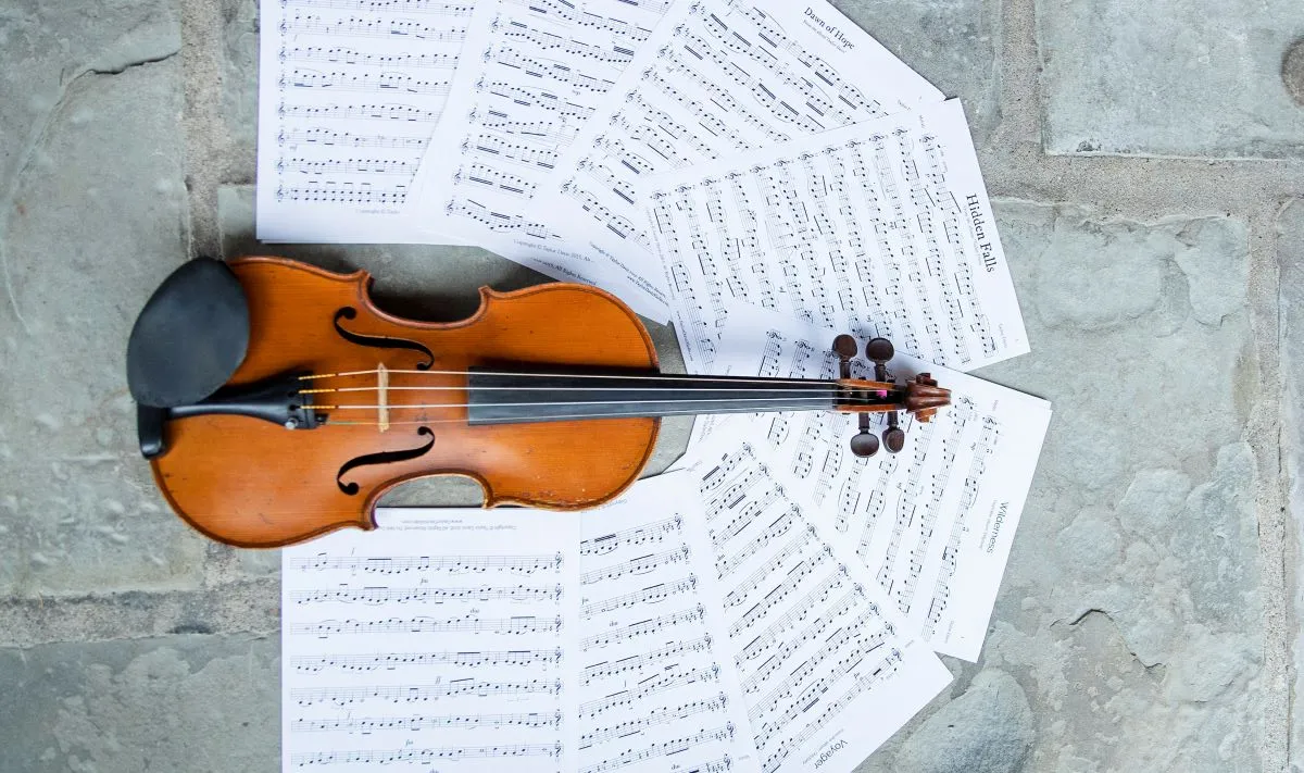 Best advanced violin books