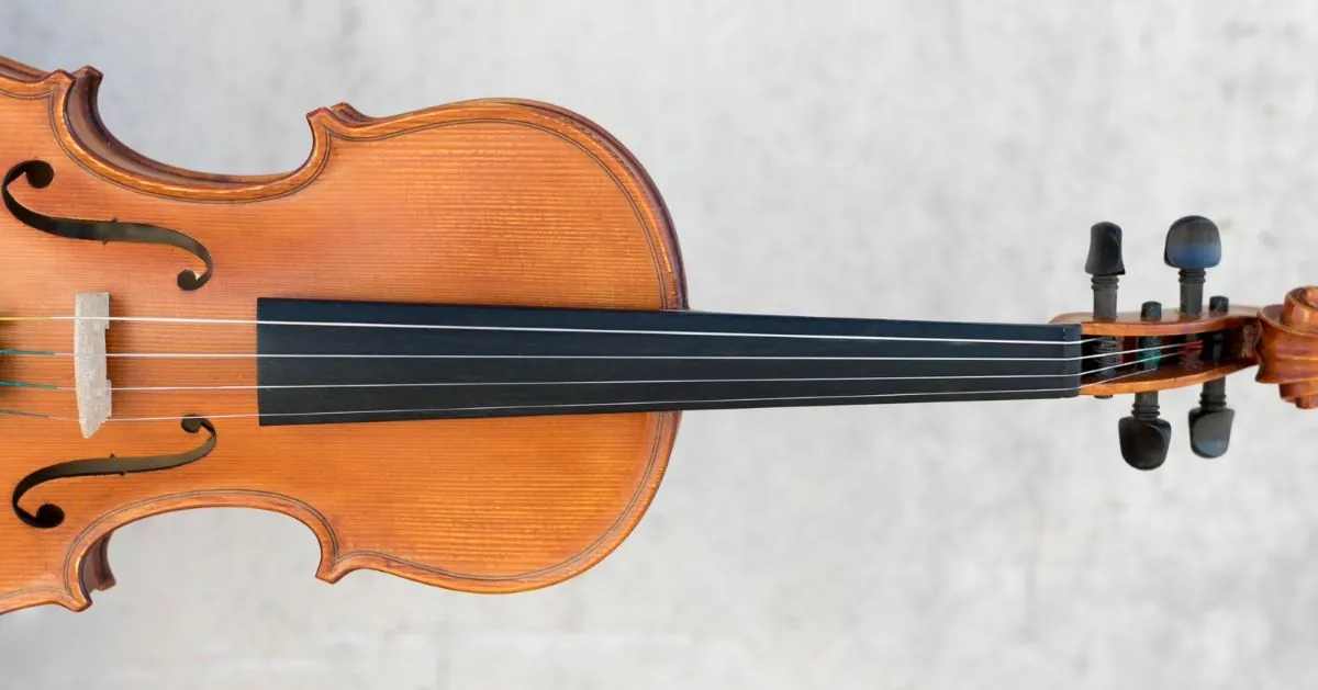 Classical violin closeup